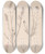 Triptych art skateboard deck of Louis Antoine Cusin Herbier De La Flore Franaise Pl0315 by Louis Antoine Cusin (1824-1901)