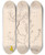 Triptych art skateboard deck of Louis Antoine Cusin Herbier De La Flore Franaise Pl0202 by Louis Antoine Cusin (1824-1901)