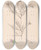 Triptych art skateboard deck of Louis Antoine Cusin Herbier De La Flore Franaise Pl0167 by Louis Antoine Cusin (1824-1901)