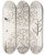 Triptych art skateboard deck of Martin Frobenius Ledermuller Amusement Microscopique Tant Pour Lesprit Que Pour Les Yeux Pl078 by Martin Frobenius Ledermu%Cc%88Ller (1719-1769)