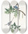 Triptych art skateboard deck of John James Audubon Bluegrey Flycatcher by John James Audubon (1785-1851)