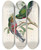Triptych art skateboard deck of John Gould A Monograph Of The Trogonidae Or Family Of Trogons Pl36 by John Gould (1804-1881)