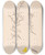 Triptych art skateboard deck of Louis Antoine Cusin Herbier De La Flore Franaise Pl0169 by Louis Antoine Cusin (1824-1901)