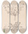 Triptych art skateboard deck of Louis Antoine Cusin Herbier De La Flore Franaise Pl0359 by Louis Antoine Cusin (1824-1901)
