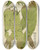 Triptych art skateboard deck of Walter Hood Fitch Cryptogamic Botany Of The Antarctic Voyage Of Hm Discovery Ships Erebus And Terror In The Years 1839 Pl40 by Walter Hood Fitch (1817-1892)