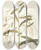 Triptych art skateboard deck of Nikolaus Joseph Freiherr Von Jacquin Aeschynomene Bispinosa by Nikolaus Joseph Freiherr Von Jacquin (1727-1817)