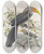 Triptych art skateboard deck of Daniel Giraud Elliot Tockus Griseus by Daniel Giraud Elliot (1835-1915)
