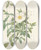 Triptych art skateboard deck of Pierre Joseph Redout Rosa Nivea by Pierre Joseph Redoute (1759-1840)