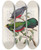 Triptych art skateboard deck of John Gould A Monograph Of The Trogonidae Or Family Of Trogons Pl33 by John Gould (1804-1881)