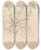 Triptych art skateboard deck of Luigi Balugani Brucea Antidysenterica_2 by Luigi Balugani (1737-1770)