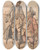 Triptych art skateboard deck of Paul Sandby Caricature Of George Bubb Dodington And Sir Thomas Robinson by Paul Sandby (1731-1809)