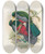 Triptych art skateboard deck of John Gould A Monograph Of The Trogonidae Or Family Of Trogons Pl29 by John Gould (1804-1881)