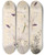 Triptych art skateboard deck of Charles Antoine Lemaire Vanda Crulea by Charles Antoine Lemaire (1800-1871)