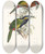 Triptych art skateboard deck of John Gould A Monograph Of The Ramphastidae Or Family Of Toucans Pl21 by John Gould (1804-1881)