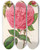 Triptych art skateboard deck of Charles Antoine Lemaire Rose Madame Furtardo by Charles Antoine Lemaire (1800-1871)