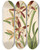 Triptych art skateboard deck of Charles Antoine Lemaire Odontoglossum Nevadense by Charles Antoine Lemaire (1800-1871)