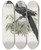 Triptych art skateboard deck of Daniel Giraud Elliot Anorrhinus Albocristatus by Daniel Giraud Elliot (1835-1915)