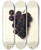 Triptych art skateboard deck of Ellen Isham Schutt Vitis_3 by Ellen Isham Schutt (1873-1955)