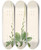 Triptych art skateboard deck of Pierre Joseph Redout Les Liliacees Pl43 by Pierre Joseph Redoute (1759-1840)