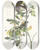 Triptych art skateboard deck of John James Audubon Small Green Crested Flycatcher by John James Audubon (1785-1851)