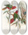 Triptych art skateboard deck of John Gould The Birds Of New Guinea And The Adjacent Papuan Islands Pl11 by John Gould (1804-1881)