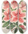 Triptych art skateboard deck of Charles Antoine Lemaire Azalea Indica Hybrida Dieudonn Spae by Charles Antoine Lemaire (1800-1871)