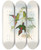 Triptych art skateboard deck of John Gould The Birds Of New Guinea And The Adjacent Papuan Islands Pl19 by John Gould (1804-1881)