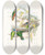 Triptych art skateboard deck of John Gould The Birds Of New Guinea And The Adjacent Papuan Islands Pl24 by John Gould (1804-1881)