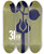Triptych art skateboard deck of National Institutes Of Health Tissue Transplantation Past Present And Future by National Institutes Of Health (1887)