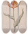 Triptych art skateboard deck of Dutch School A Tulip With A Butterfly by Dutch School