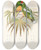 Triptych art skateboard deck of John Gould The Birds Of New Guinea And The Adjacent Papuan Islands Pl50 by John Gould (1804-1881)
