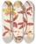 Triptych art skateboard deck of Charles Antoine Lemaire Vanda Lowii Lindl by Charles Antoine Lemaire (1800-1871)