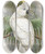 Triptych art skateboard deck of John Gould The Birds Of New Guinea And The Adjacent Papuan Islands Pl44 by John Gould (1804-1881)