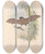 Triptych art skateboard deck of John Gould The Mammals Of Australia Pl154 by John Gould (1804-1881)