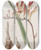 Triptych art skateboard deck of Sydenham Edwards Painted Tritonia by Sydenham Edwards (1768-1819)
