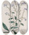 Triptych art skateboard deck of Sydenham Edwards Burry Houndstongue by Sydenham Edwards (1768-1819)