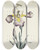 Triptych art skateboard deck of Carington Bowles Iris by Carington Bowles (1724-1793)
