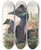 Triptych art skateboard deck of John Gould The Birds Of New Guinea And The Adjacent Papuan Islands Pl74 by John Gould (1804-1881)
