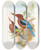 Triptych art skateboard deck of John Gould Manilla Kingfisher_1 by John Gould (1804-1881)