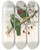 Triptych art skateboard deck of John Gould The Birds Of New Guinea And The Adjacent Papuan Islands Pl54 by John Gould (1804-1881)