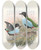 Triptych art skateboard deck of John Gould Monograph Of The Pittidae Pl08 by John Gould (1804-1881)