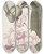 Triptych art skateboard deck of Sydenham Edwards Lemonscented Odontoglossum by Sydenham Edwards (1768-1819)