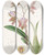 Triptych art skateboard deck of Sydenham Edwards The Duke Of Bedfords Oncidium by Sydenham Edwards (1768-1819)