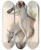 Triptych art skateboard deck of John Gould The Mammals Of Australia Pl048 by John Gould (1804-1881)