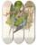 Triptych art skateboard deck of John Gould The Birds Of New Guinea And The Adjacent Papuan Islands Pl30 by John Gould (1804-1881)