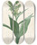 Triptych art skateboard deck of Pierre Joseph Redout Les Liliacees Pl26 by Pierre Joseph Redoute (1759-1840)