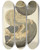 Triptych art skateboard deck of James Sowerby The Mineral Conchology Of Great Britain Pl177 by James Sowerby (1757-1822)