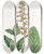 Triptych art skateboard deck of Sydenham Edwards Shiftingleaved Gesnera by Sydenham Edwards (1768-1819)