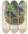 Triptych art skateboard deck of Daniel Giraud Elliot A Monograph Of The Pittid Or Family Of Antthrushes Pl22 by Daniel Giraud Elliot (1835-1915)