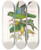 Triptych art skateboard deck of John Gould The Birds Of New Guinea And The Adjacent Papuan Islands Pl29 by John Gould (1804-1881)